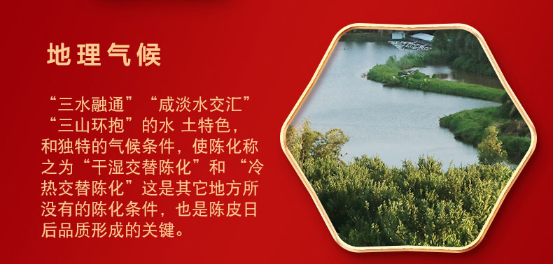 安琪陈皮详情05.jpg