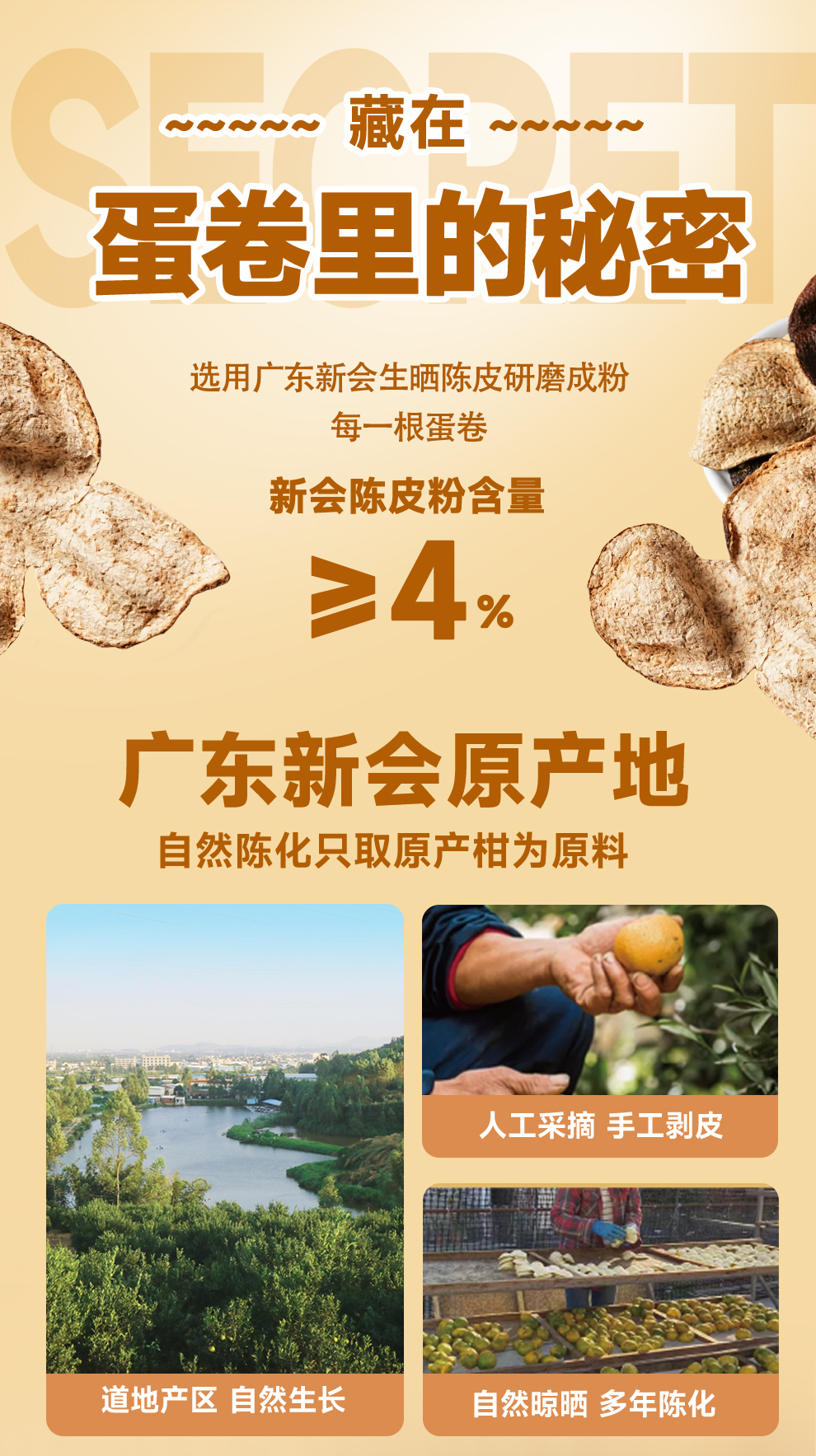详2-安琪陈皮黄油蛋卷.jpg