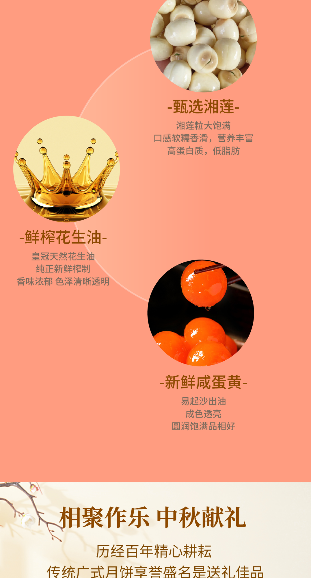 （安琪双黄）安琪2024详情图 切图2.png